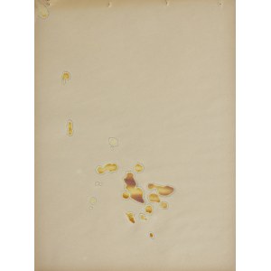 SZEWCZYK ANDRZEJ, Untitled (Raid of Lemons.).