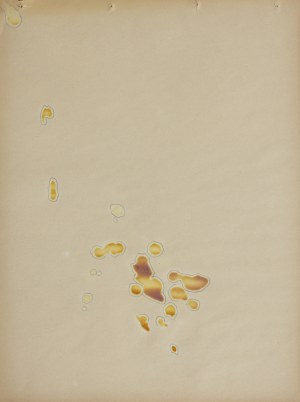 SZEWCZYK ANDRZEJ, Bez tytułu („Nalot cytryn.”)