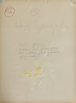SZEWCZYK ANDRZEJ, Bez tytułu („Nalot cytryn.”)