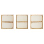 SZEWCZYK SZYMON, Lady Gaga (triptych), 2013