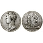 France, award medal, 1913