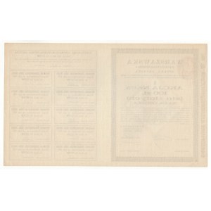 Warszawska Kinematograficzna S.A., azione PLN 100