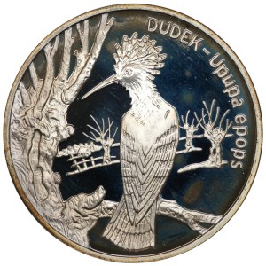 20 Oro 2000, Dudek