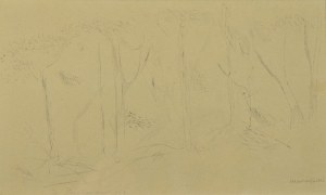 Adam  MARCZYŃSKI  (1908-1985), Studium drzew, przed 1947