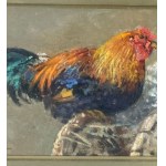 Vincenzo Caprile, Roosters - Vincenzo Caprile