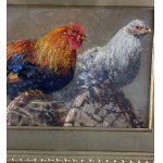 Vincenzo Caprile, Roosters - Vincenzo Caprile