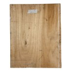 UNIDENTIFIED SIGNATURE, Portrait of a Woman