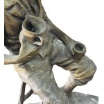 Fosca, The Drinker - Fosca