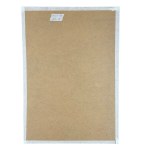 ANONIMO, Male anatomy