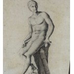 ANONIMO, Male anatomy