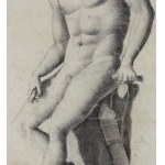 ANONIMO, Male anatomy