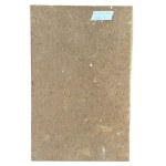 UNIDENTIFIED SIGNATURE, Portrait of an Arab man