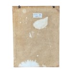 ANONIMO, Self-portrait of Rembrandt