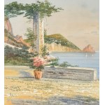 UNIDENTIFIED SIGNATURE, View of Capri