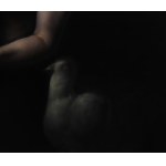 SALVATORE TESTA, The Chosen One