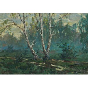 Painter unrecognized