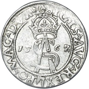 Sigismund II Augustus, Trojak 1562, Vilnius - L/L