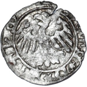 Silesia, Ks. Bytomsko-Cieszynski, halerz (1431-1452), Euphemia or sons, Bytom