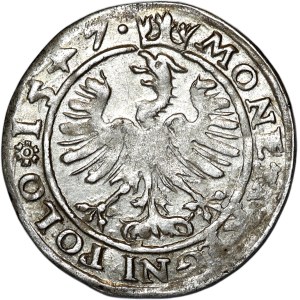 Žigmund I. Starý, penny 1547, Krakov