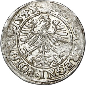 Zygmunt I Stary, grosz 1545, Kraków