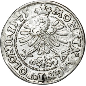 Sigismund I the Old, penny 1545, Cracow
