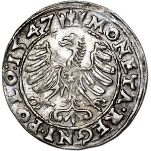 Žigmund I. Starý, penny 1547, Krakov