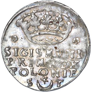 Žigmund I. Starý, penny 1546, Krakov