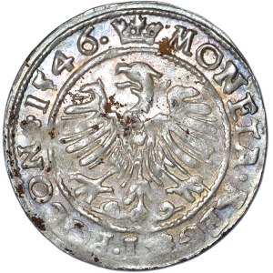 Žigmund I. Starý, penny 1546, Krakov