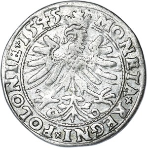 Sigismund I the Old, penny 1545, Cracow