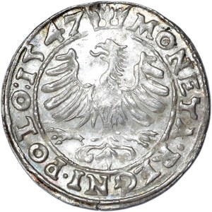 Sigismondo I il Vecchio, centesimo 1547, Cracovia
