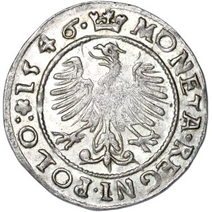 Sigismund I the Old, penny 1546, Cracow