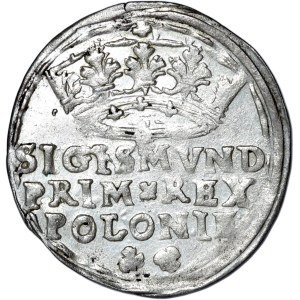 Sigismund I the Old, penny 1545, Cracow