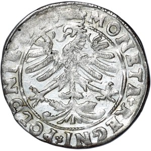 Sigismund I the Old, penny 1545, Cracow
