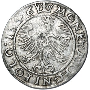 Sigismondo I il Vecchio, centesimo 1546, Cracovia