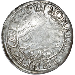 Žigmund I. Starý, penny 1548, Krakov