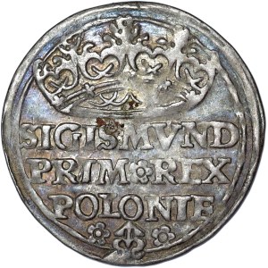 Sigismondo I il Vecchio, centesimo 1529, Cracovia