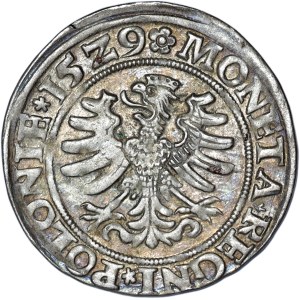 Sigismondo I il Vecchio, centesimo 1529, Cracovia