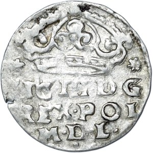Sigismond III Vasa, centime 1624, Bydgoszcz