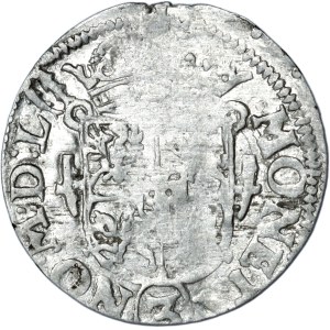 Sigismund III. Vasa, Porträt-Halbträger 1619/1620 nicht in der Literatur verzeichnet