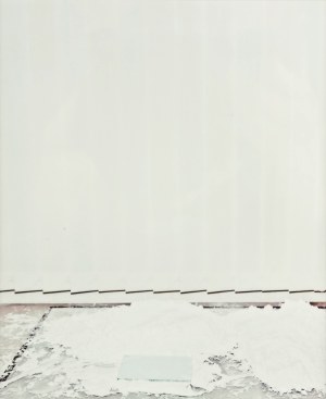 Rafał Milach (ur. 1978 Gliwice), The winners, 2014