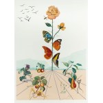 Salvador Dali (1904 Figueres/Hiszpania - 1989 tamże), Flordali II, La Rose Papillon, 1981