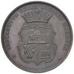 Medals - EMPOLI Medal 1882 For the surrounding exposition...