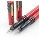 Pens - AURETTA - 2 Fountain Pens - Resin Bodies ...