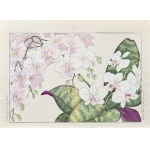 Tanigami Konan (1879-1928), Falenopsis, wyd. Unsodo, Kioto/Japonia, 1917 r.