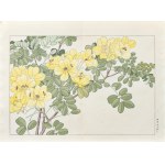 Tanigami Konan (1879-1928), Alamanda, wyd. Unsodo, Kioto/Japonia, 1917 r.