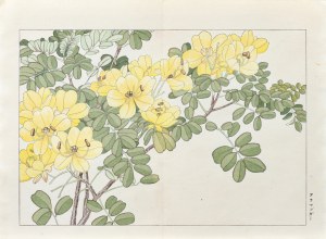 Tanigami Konan (1879-1928), Alamanda, wyd. Unsodo, Kioto/Japonia, 1917 r.