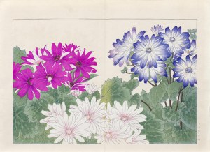 Tanigami Konan (1879-1928), Cyneraria, wyd. Unsodo, Kioto/Japonia, 1917 r.