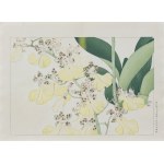 Tanigami Konan (1879-1928), Storczyk oncidium, wyd. Unsodo, Kioto/Japonia, 1917 r.