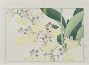 Tanigami Konan (1879-1928), Storczyk oncidium, wyd. Unsodo, Kioto/Japonia, 1917 r.