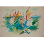 Stefan DOUSA (ur. 1945), Surfer, 1985